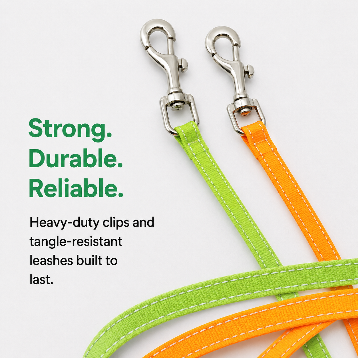 RoamDuo Dog Leash